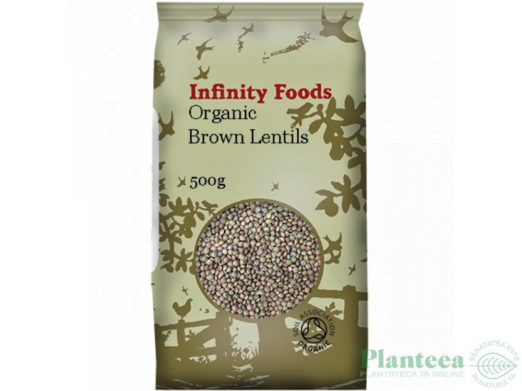 Linte maro boabe eco 500g - INFINITY FOODS