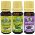 Pachet 3 uleiuri esentiale Repelente contra Insectelor 3x10ml - HERBAL SANA