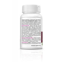 LiverHelp forte 700mg 30cps - ZENYTH