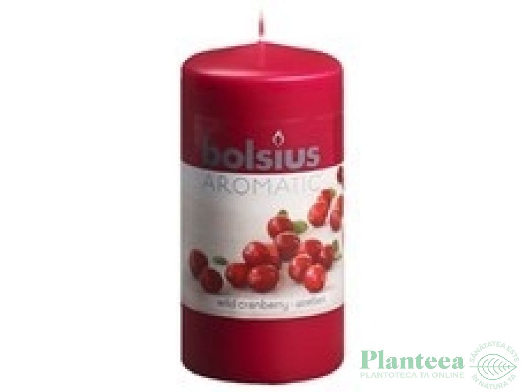 Lumanare parfumata stalp 33h merisor salbatic 260g - BOLSIUS