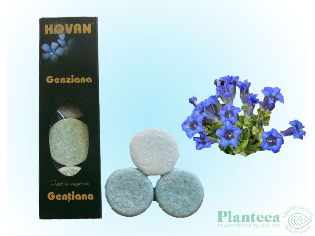 Lumanari pastila parfumate gentiana 4b - HOVAN