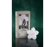 Lumanari pastila soia neparfumate 5h Floating Flower 36b - D`ECO