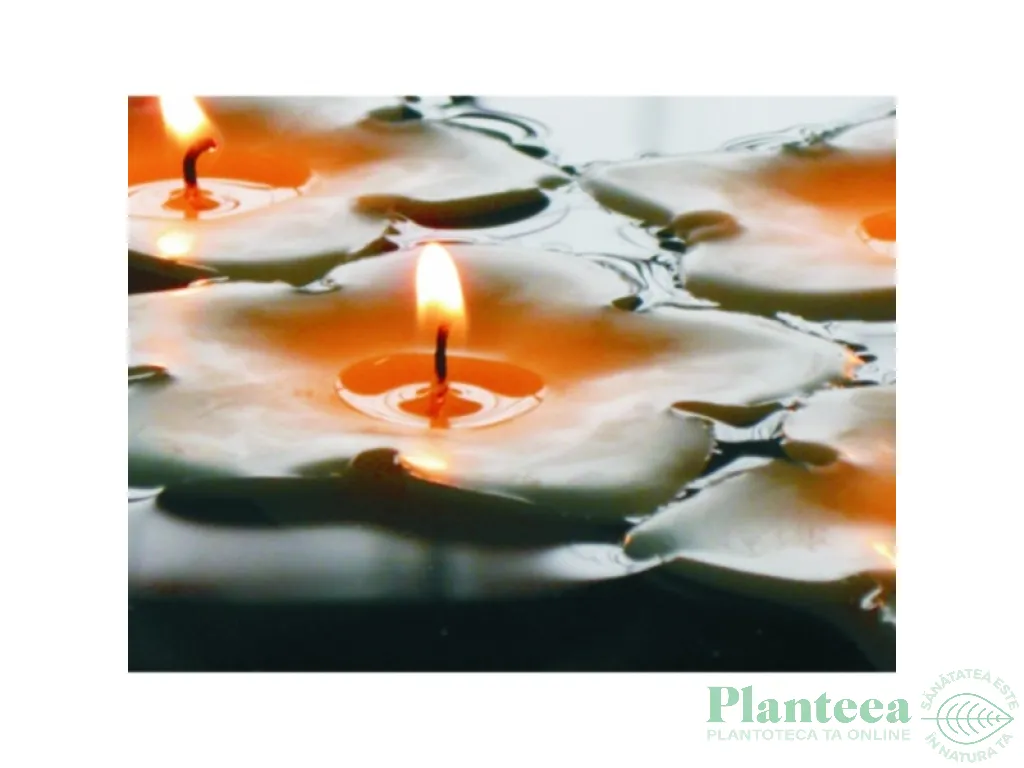Lumanari pastila soia neparfumate 5h Floating Flower 36b - D`ECO