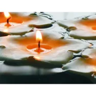 Lumanari pastila soia neparfumate 5h Floating Flower 36b - D`ECO