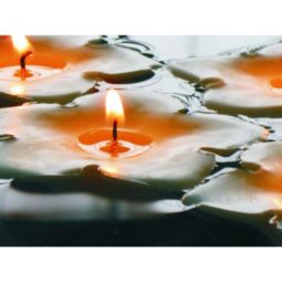 Lumanari pastila soia neparfumate 5h Floating Flower 36b - D`ECO