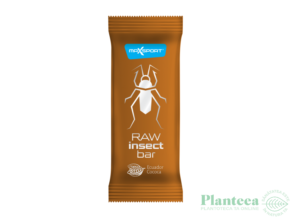 Baton raw insect cacao eco 40g - MAXSPORT