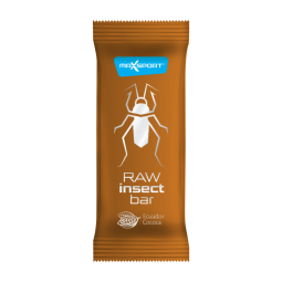 Baton raw insect cacao eco 40g - MAXSPORT