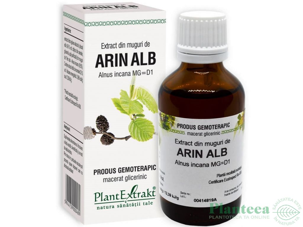 Gemoderivat arin alb muguri 50ml - PLANTEXTRAKT