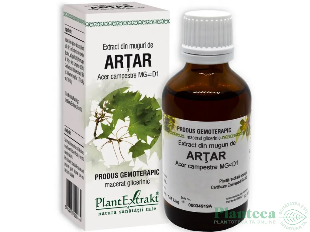 Gemoderivat artar muguri 50ml - PLANTEXTRAKT