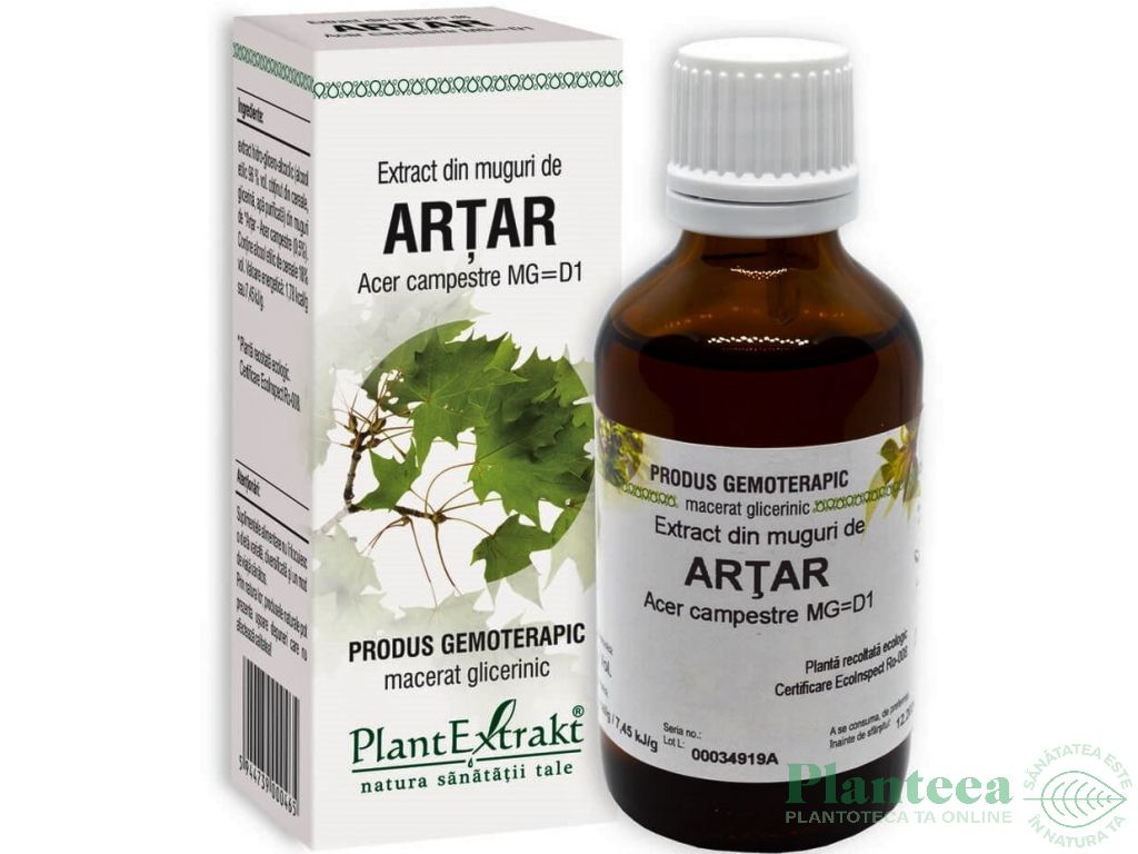 Gemoderivat artar muguri 50ml - PLANTEXTRAKT
