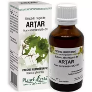 Gemoderivat artar muguri 50ml - PLANTEXTRAKT