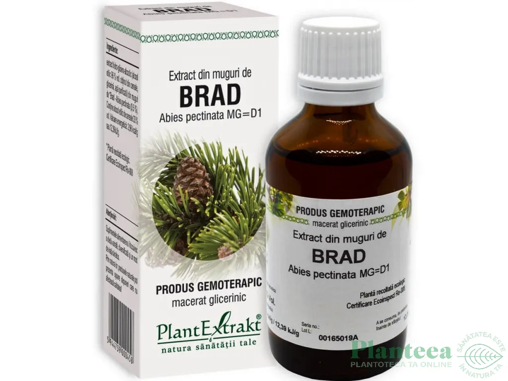 Gemoderivat brad muguri 50ml - PLANTEXTRAKT
