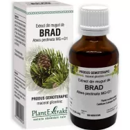 Gemoderivat brad muguri 50ml - PLANTEXTRAKT