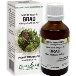 Gemoderivat brad muguri 50ml - PLANTEXTRAKT