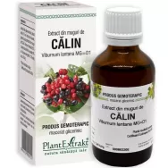 Gemoderivat calin muguri 50ml - PLANTEXTRAKT