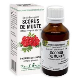 Gemoderivat scorus munte muguri 50ml - PLANTEXTRAKT