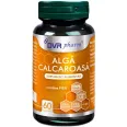 Alga calcaroasa 1x60cps - DVR PHARM