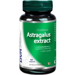 Astragalus extract 1x60cps - DVR PHARM