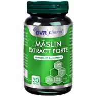 Maslin extract forte 1x30cps - DVR PHARM