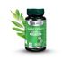 Set Tamaie extract [boswellia] 3x60cps - DVR PHARM