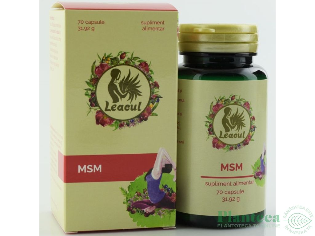 MSM 360mg 70cps - LEACUL