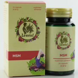 MSM 360mg 70cps - LEACUL