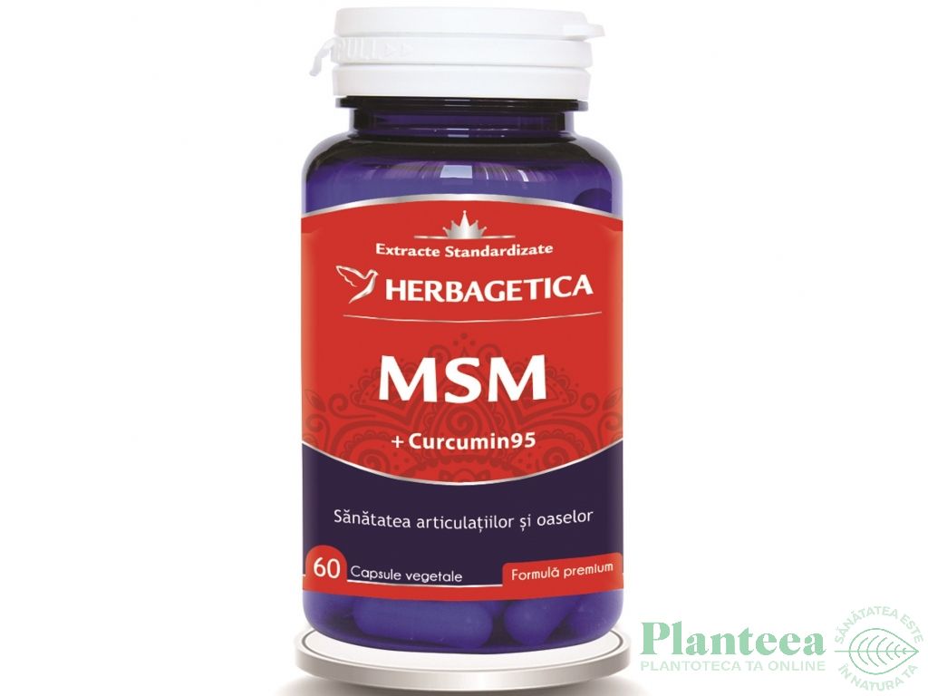 MSM curcumin95 60cp - HERBAGETICA