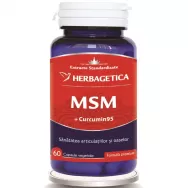 MSM curcumin95 60cp - HERBAGETICA