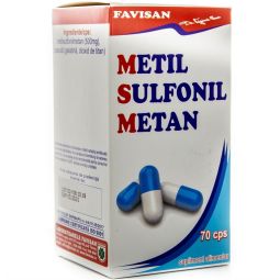 MSM [MetilSulfonilMetan] 70cps - FAVISAN