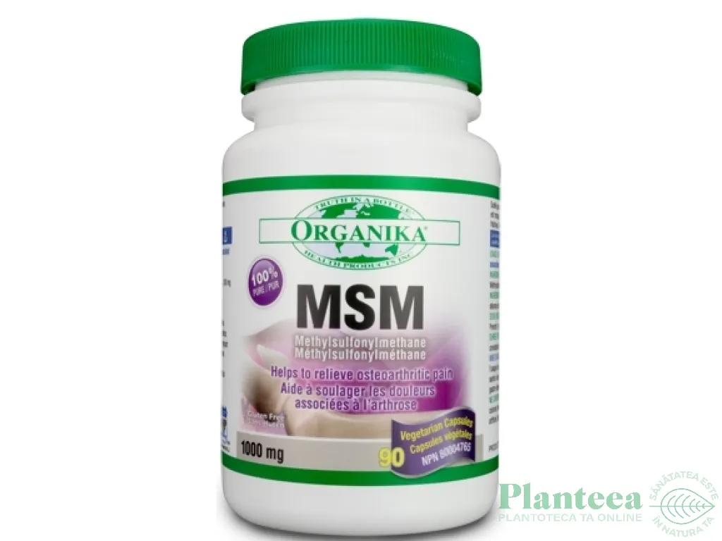 MSM 90cps - ORGANIKA HEALTH