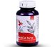 Maca forte 60cps - LIFE
