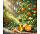 Ulei esential mandarin 10ml - HERBAL SANA