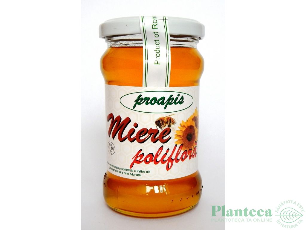 Miere poliflora 400g - PROAPIS