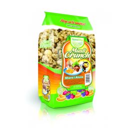 Musli crocant miere alune 500g - SANOVITA