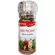 Condimente Mix Picant 50g - FAVISAN