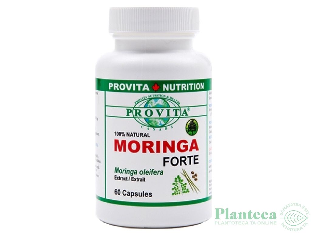 Moringa forte 60cps - PROVITA NUTRITION