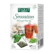 Ceai verde menta Moroccan Mint Sensation piramide 20x2g - EVOLET