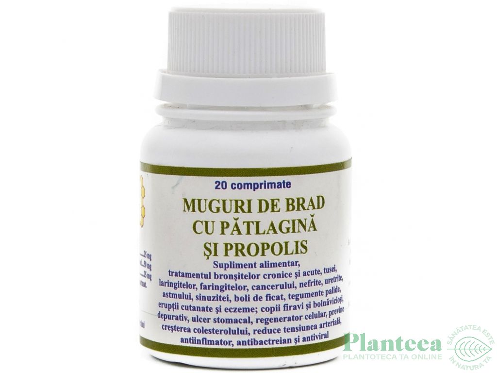 Patlagina brad propolis 20cp - ELIDOR