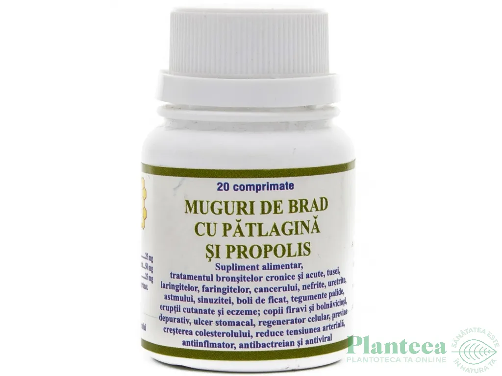 Patlagina brad propolis 20cp - ELIDOR