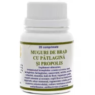 Patlagina brad propolis 20cp - ELIDOR