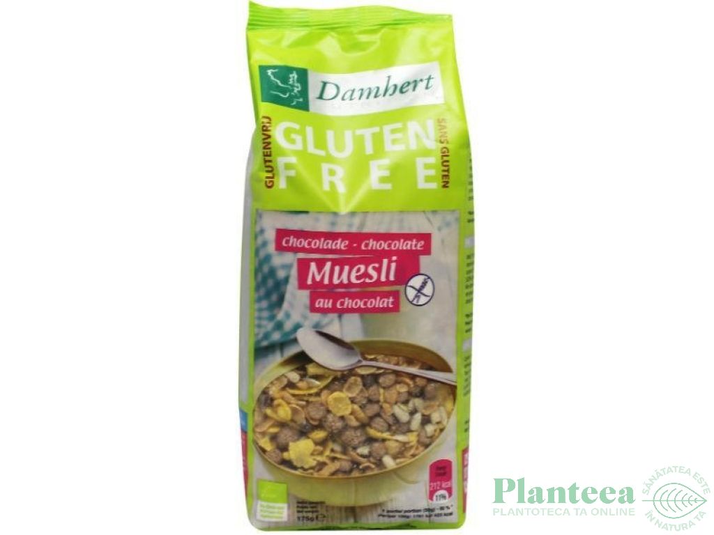 Musli ciocolata fara gluten eco 175g - DAMHERT NUTRITION