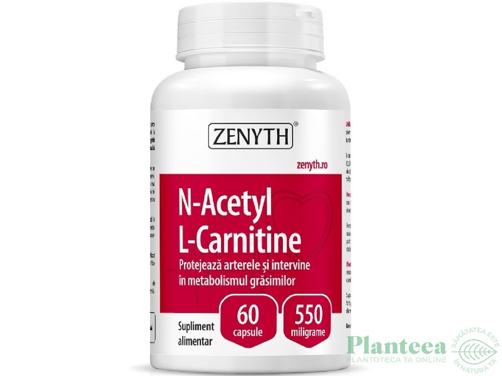 Nacetyl L carnitina 550mg 60cps - ZENYTH