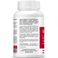 Nacetyl L carnitina 550mg 60cps - ZENYTH