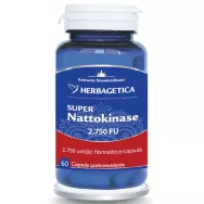 Super Nattokinase 2750fu 60cps - HERBAGETICA
