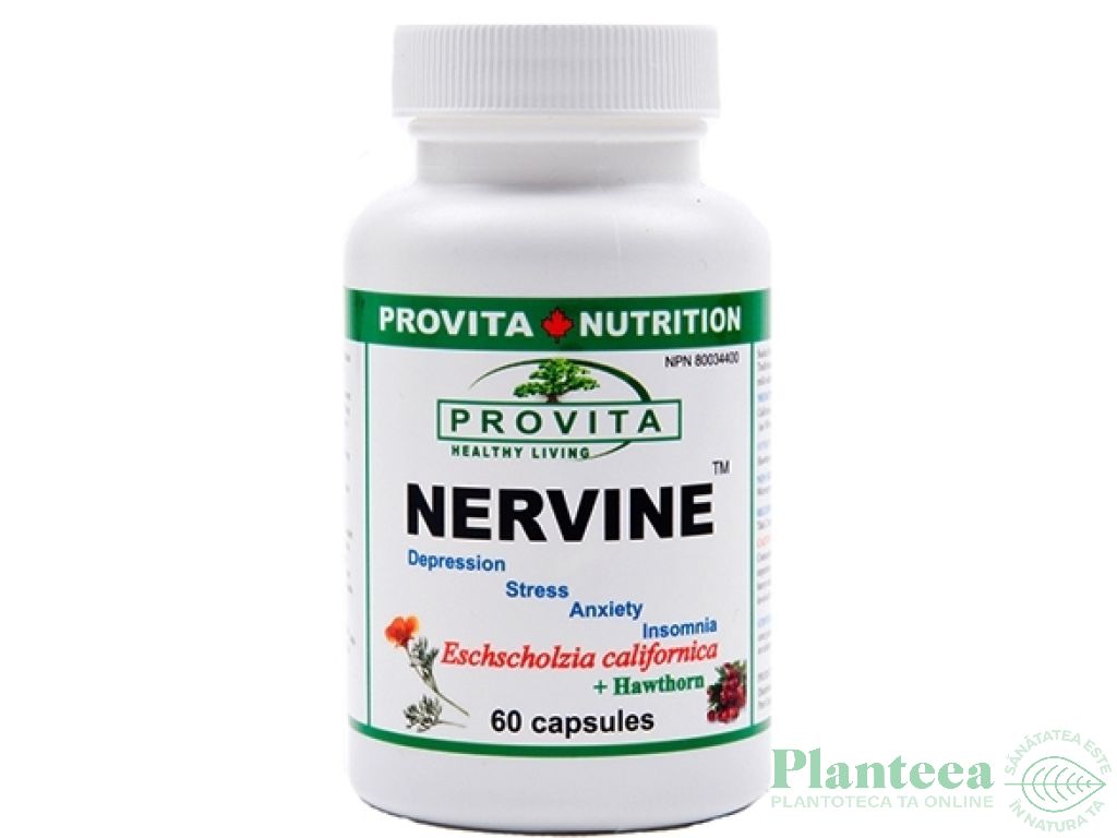 Nervine 60cps - PROVITA NUTRITION