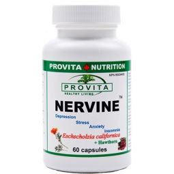 Nervine 60cps - PROVITA NUTRITION