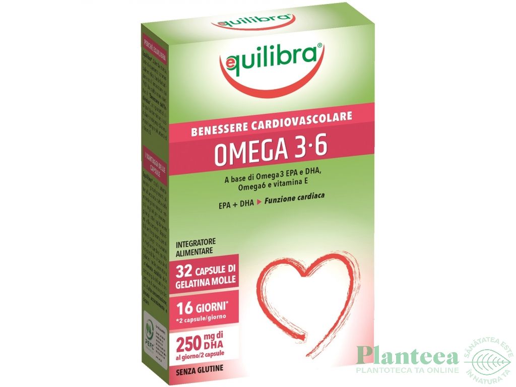 Omega 36 32cps - EQUILIBRA