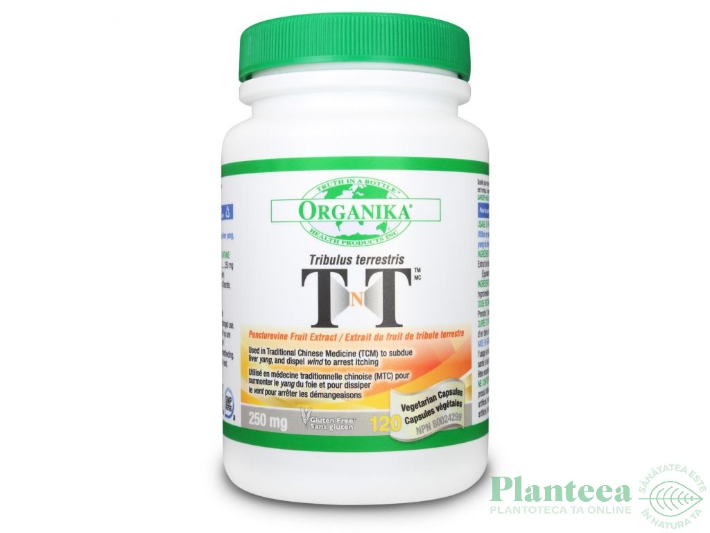 Tribulus terrestris TNT 120cps - ORGANIKA HEALTH