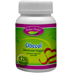 Obecol 120cp - INDIAN HERBAL