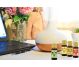 Kit 4 uleiuri esentiale Office Focus 4x10ml - HERBAL SANA